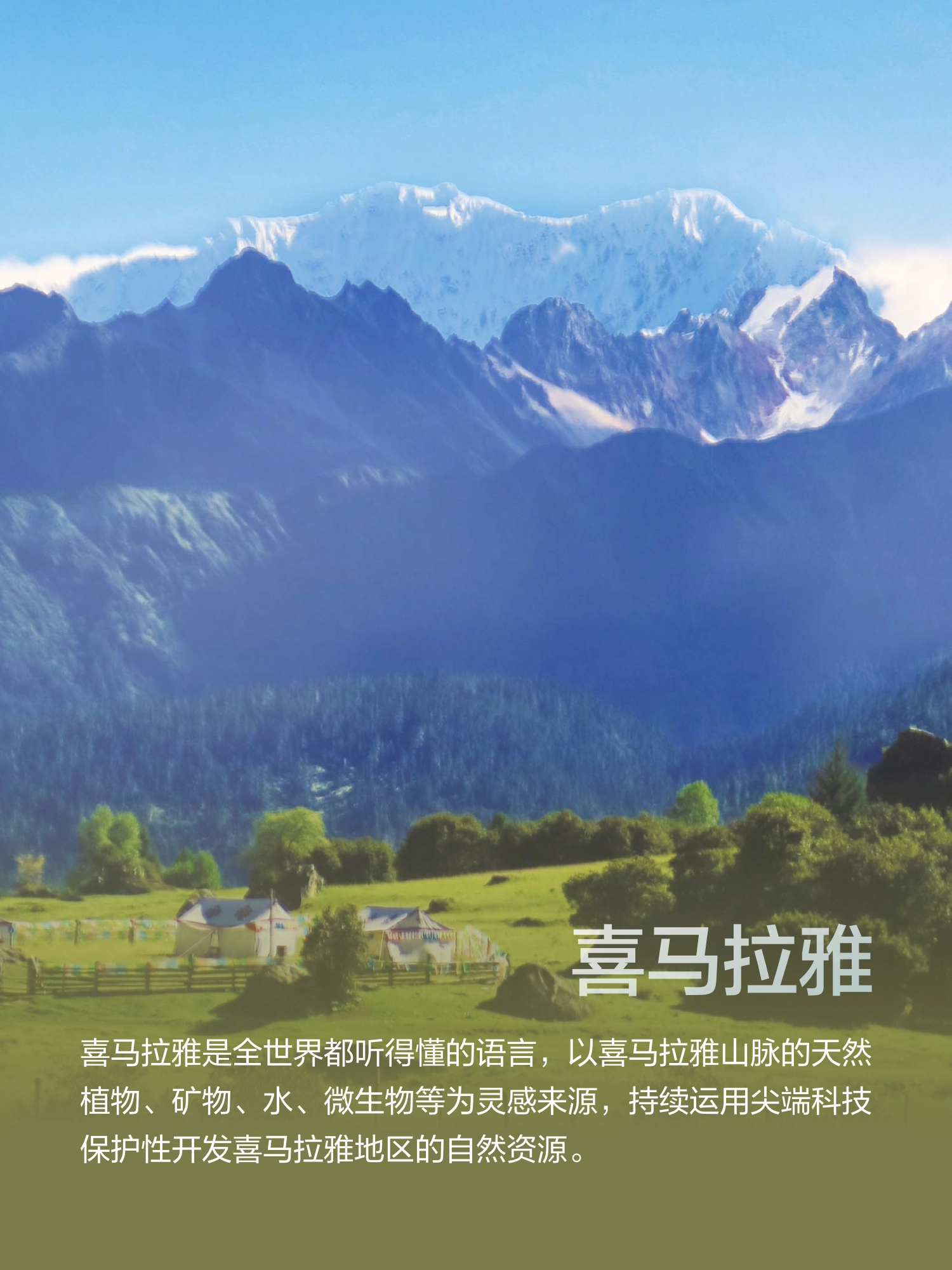测试图片2