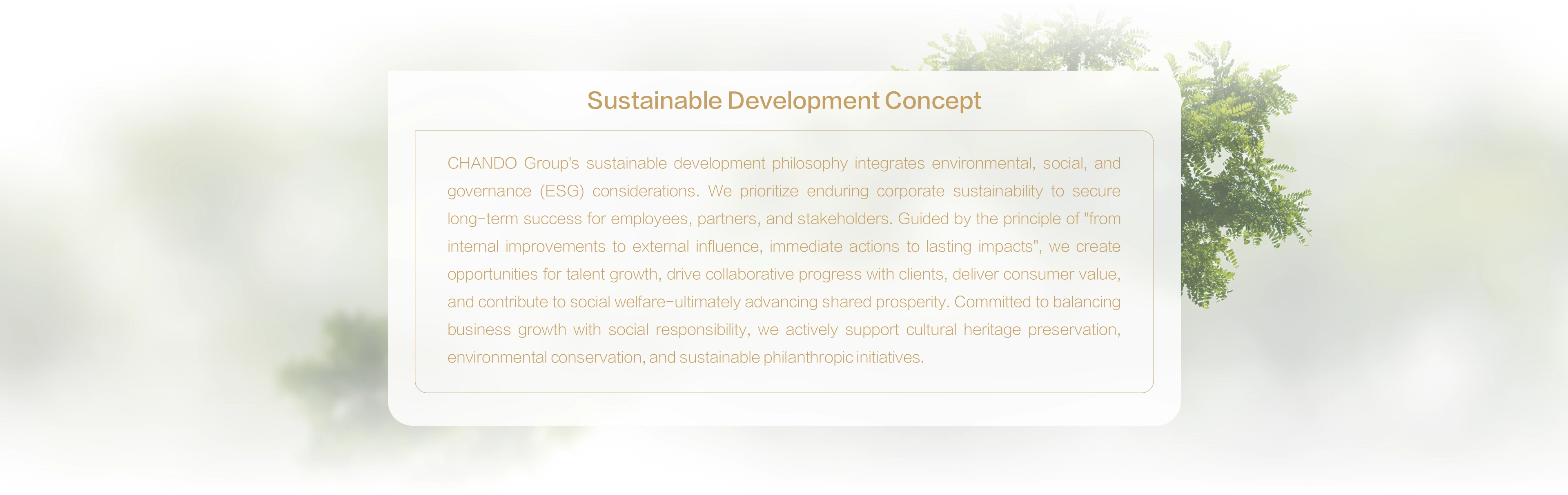 Sustainable development of CHANDO Group