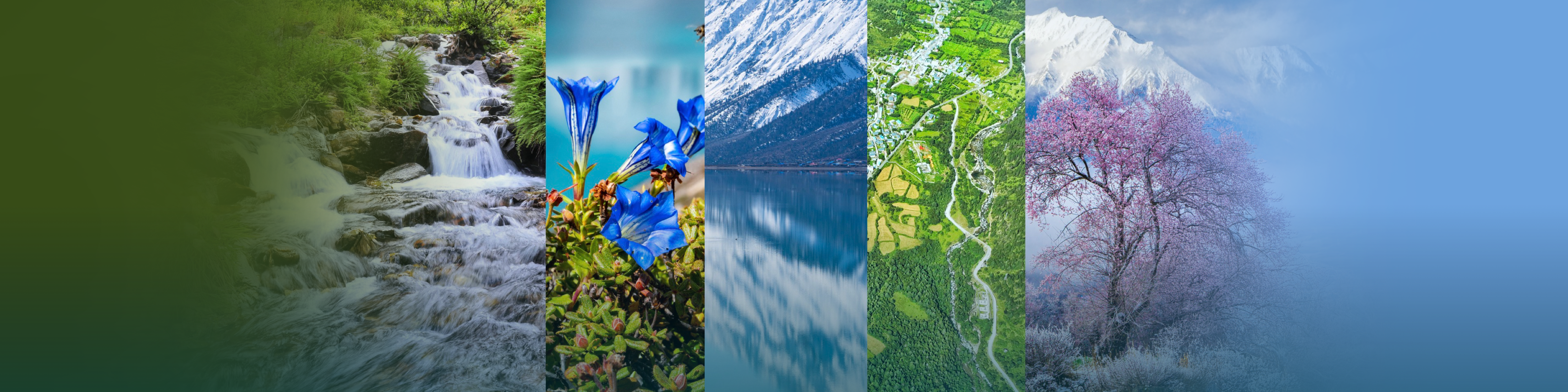 Raw Materials  Development Technology