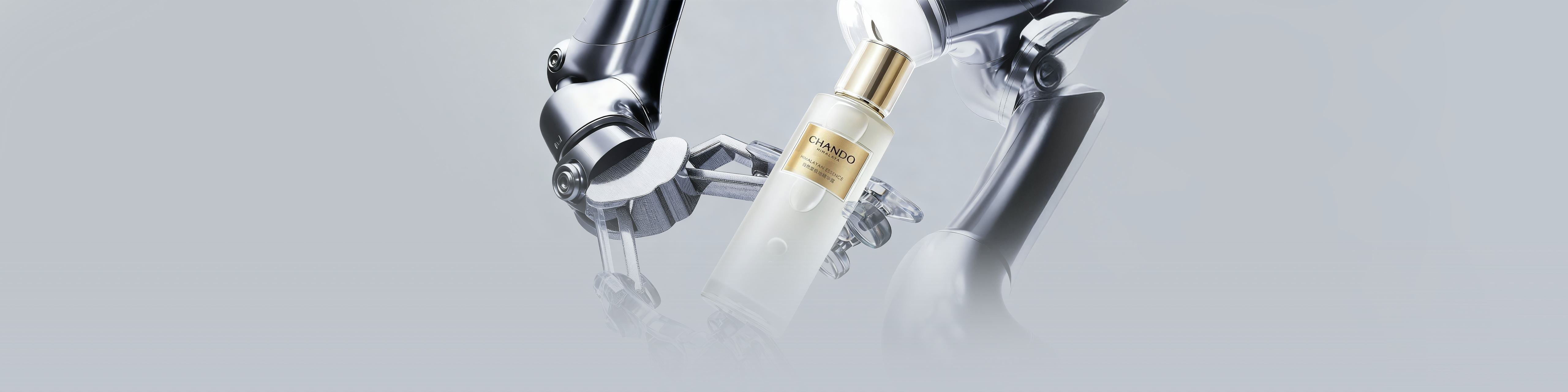 Packaging Development Technology