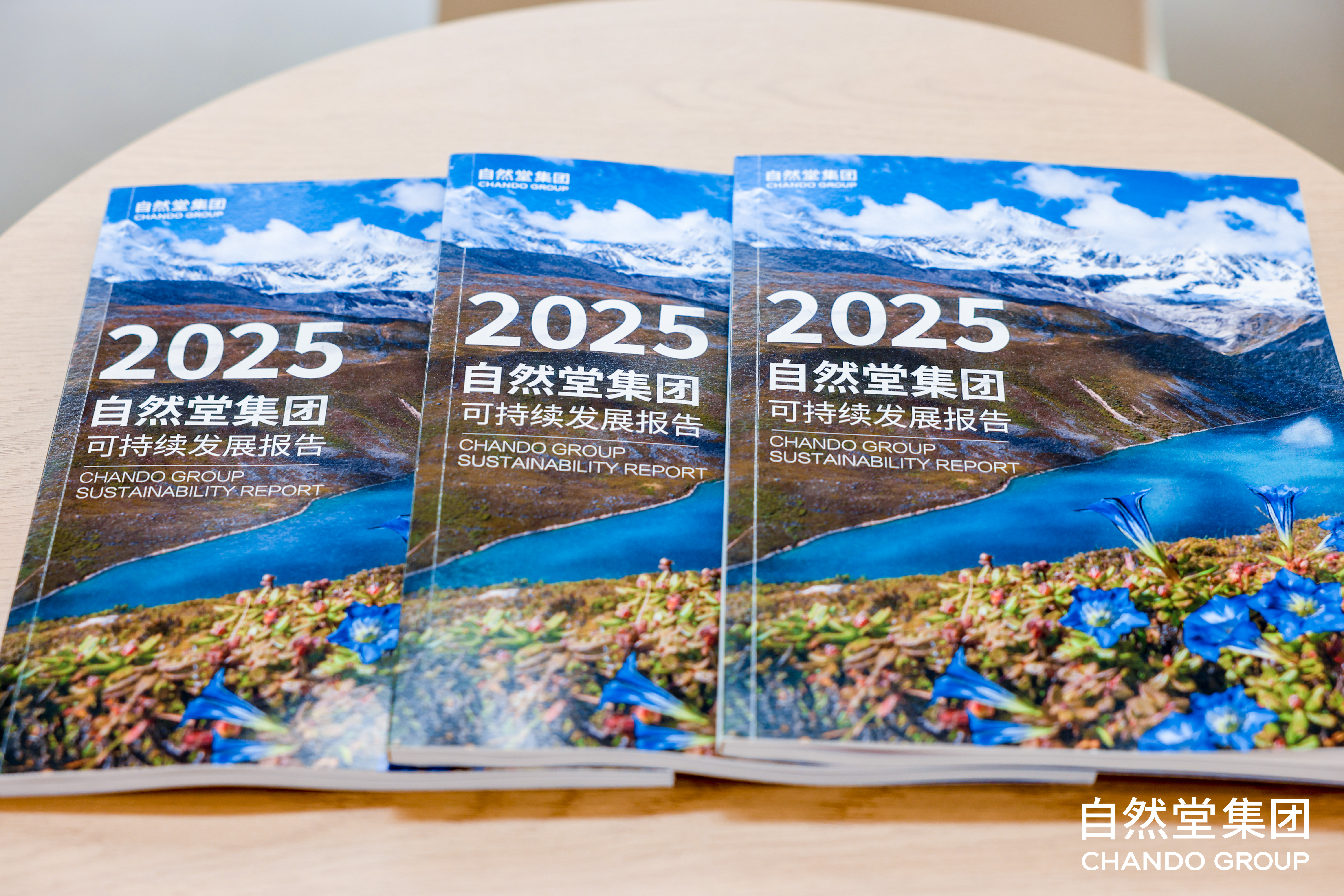 CHANDO Group Releases 2025 Sustainability Report: Driving Green Transformation Through Scientific Quantification