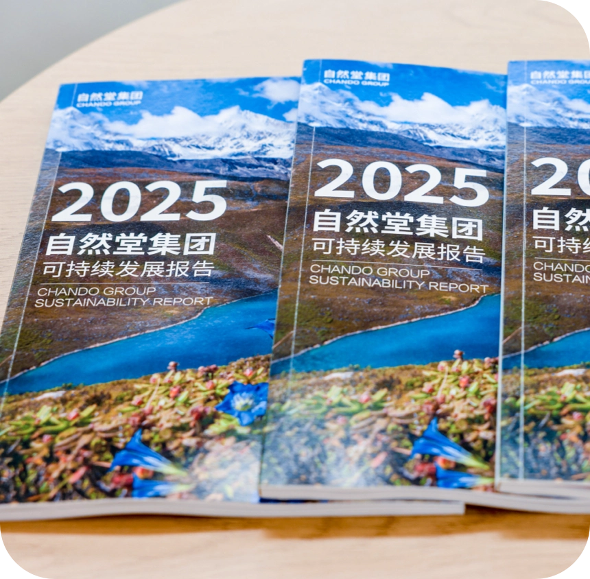 CHANDO Group Releases 2025 Sustainability Report: Driving Green Transformation Through Scientific Quantification