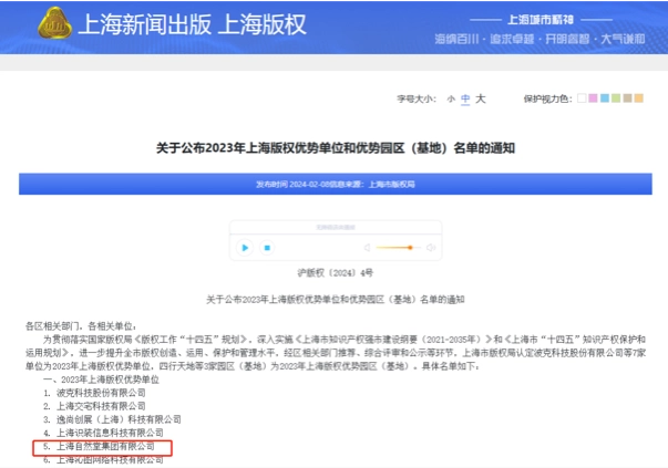 2023 Shanghai Copyright Excellence Award Recipients