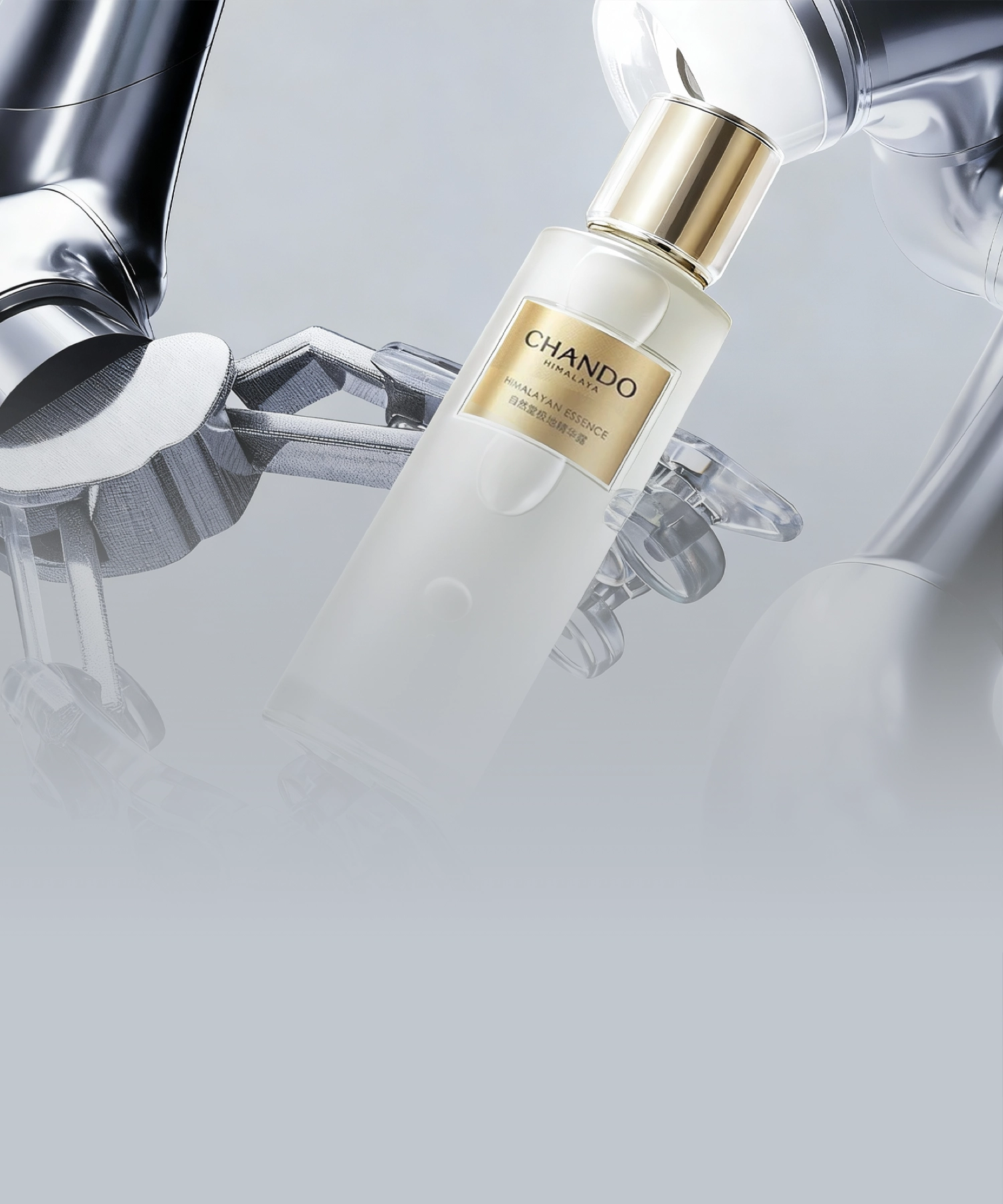 Packaging Development Technology